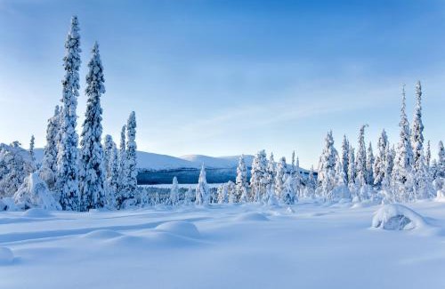 Enontekio Hotel | Kelo Resort - northern lights and adventures in the wilderness of Kittilä