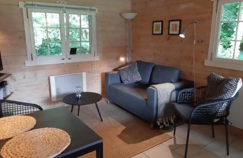 Appelscha Apartment | kemphaan