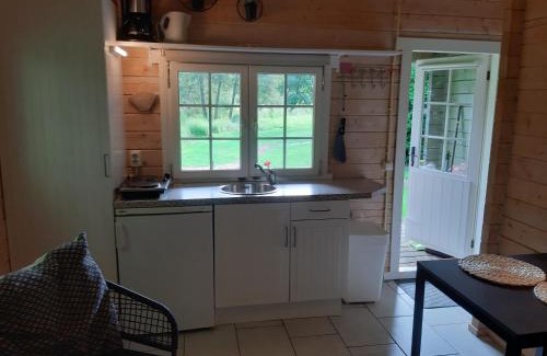 Appelscha Apartment | kemphaan