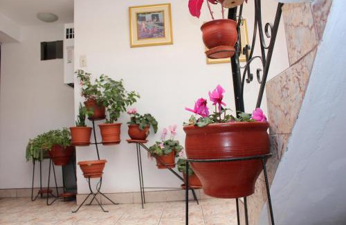 Cusco House | Kennedy Guest House