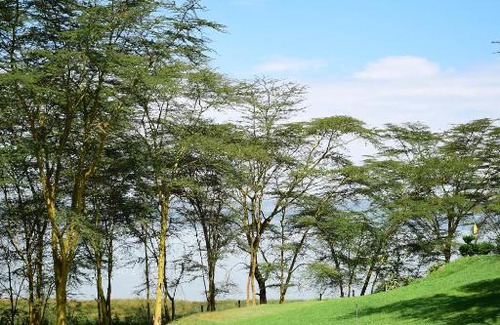 Gilgil House | KENSTAY VILLA