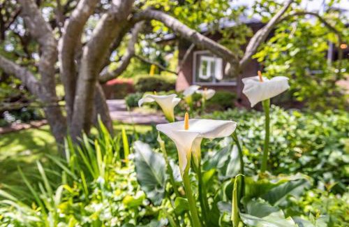 Bowral House | Kerrisdale Bowral