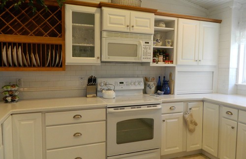 East Lake Cottage | Key West Style Cottage on 2.5 Acre Estate (Secluded)- Very quiet -Tarpon Springs