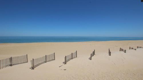 Kitty Hawk House | KH42, Sea Eagle- Oceanfront, Ocean Views, Dogs Welcome, Beach Access