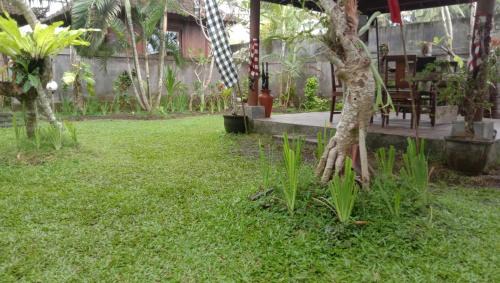 Mendoyo Hotel | Khalisha Villas