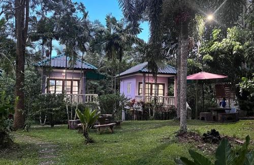 Phanom House | Khaosok gallery & camp