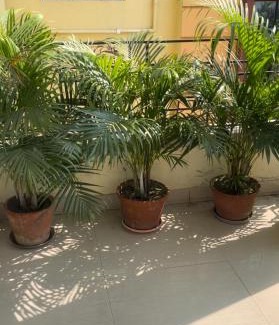 Bolpur House | KHOLA HAWA GUEST HOUSE