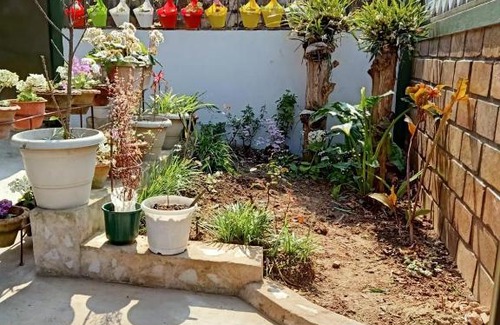 Laitumkhrah Bed & Breakfast | Khriang Khongwir Homestay