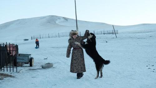 Hustai National Park Other | Khustai Nomad Family Stay