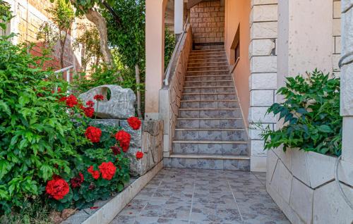 Medvinjak Apartment | Kiara