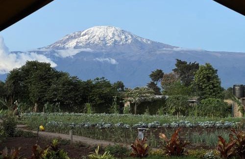 Moshi House | Kibo View Farm Lodge