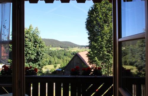Schiltach Apartment | Kienbronnerhof
