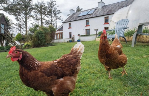 Murroogh House | Kilfarboy House - Renovated Farmhouse!