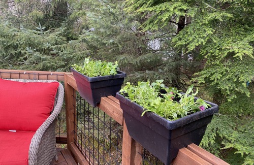 Juneau House | Killewich home in the Mendenhall Valley