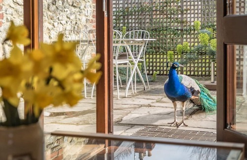 Sandown Cottage | Kiln Cottage sleeping up to 4 on The Garlic Farm on the Isle of Wight