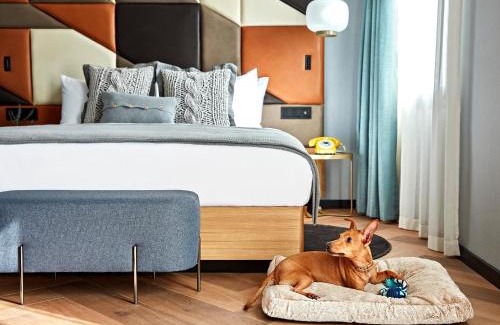 Gothic Quarter Hotel | Kimpton Vividora Hotel by IHG