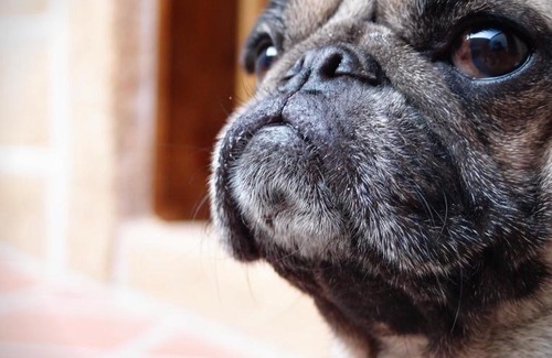 Jinning Bed & Breakfast | Kinba Guest House