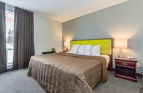 Palmerston Hotel | King Hotel