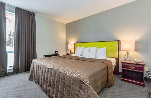 Palmerston Hotel | King Hotel
