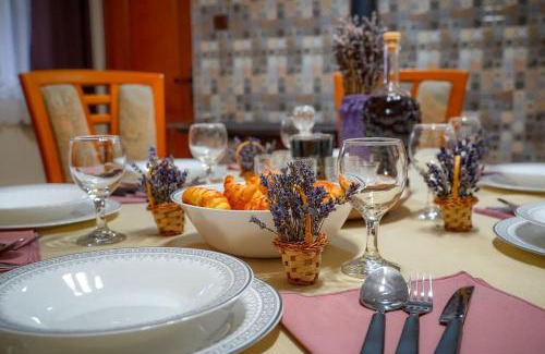 Siclod House | Kinga Guesthouse