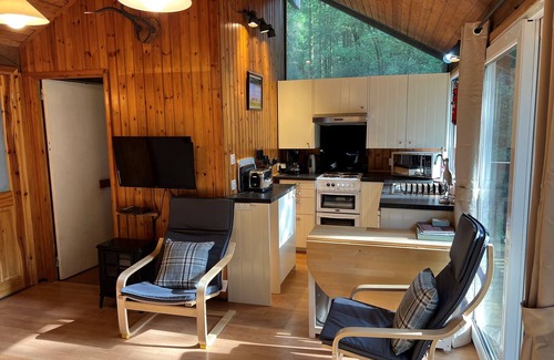 Taynuilt Cabin | KINGLAS is a charming cabin in a lovely, peaceful location deep in the forest