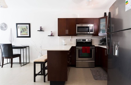 Havendale Apartment | Kingston Luxury Guest Apt at Sullivan