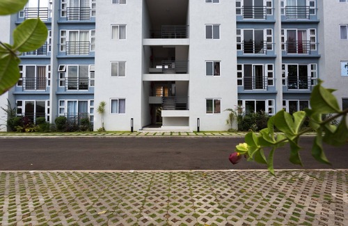 Havendale Apartment | Kingston Luxury Guest Apt at Sullivan
