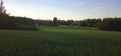 Kanepi Resort | Kingu talu