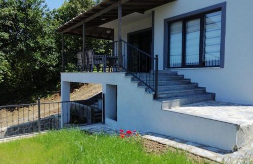 Black Sea Coast Villa | Kiralık Lüx Deniz Manzaralı Bahçeli Villa/Luxury Sea View Garden Villa for Rent