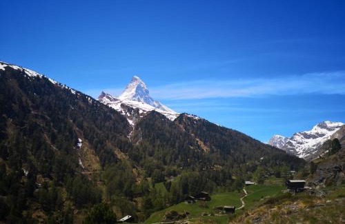 Zermatt Apartment | Kirchplatz Apartment Lupus & Cervus