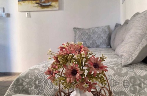 Colonia de Pescadores Hotel | Kite And Dreaming Hotel