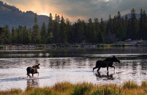 Estes Park House | Kittery West - Monthly Long-Term Vacation Rental Only home