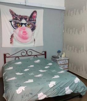 Kampung Cantik Apartment | Kitty Home Near to Penang Hill