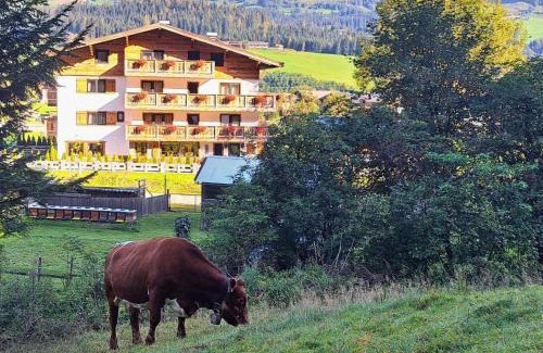 Hollersbach im Pinzgau House | KITZALPEN Pension