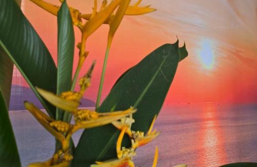 Kota Kinabalu House | KK Sunset Villa- Full Sunset Balcony, Mosquito Free, 4K TVs, 5G WIFI and more!