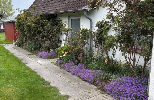 Butjadingen Apartment | Kleine Ferienwohnung Direkt am Deich und Hafen von Eckwarden mit Gartennutzung