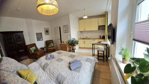 Dorstfelder Brucke Apartment | kleines Appartement - zentral, citynah, Stadion, Westfallenhalle