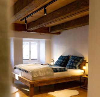 Villingen-Schwenningen Apartment | Kleines Schwarzwald Apartment City