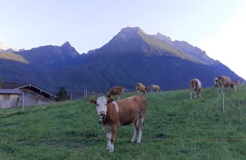 Ramsau bei Berchtesgaden Apartment | Klettnerlehen