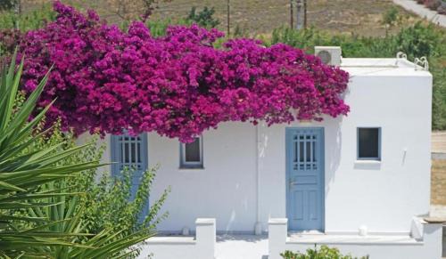 Logaras Apartment | Klironomos Apartments Logaras