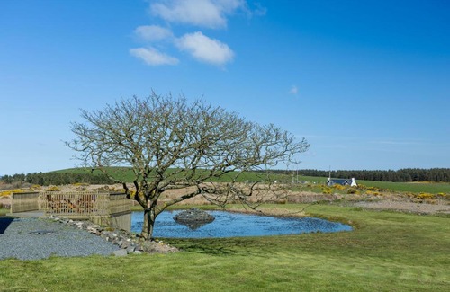 Stranraer Bed & Breakfast | Knockniemoak Bed and Breakfast