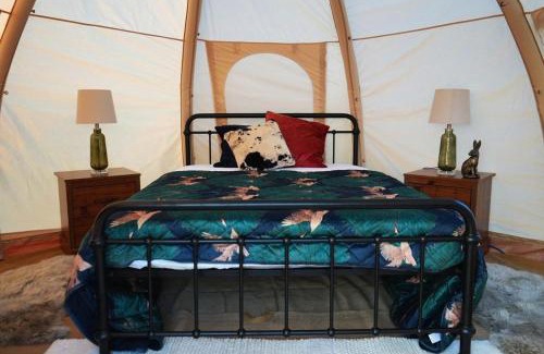 Cheddar Other | Knoll View Glamping Tent