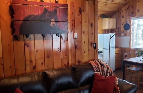 Greer Cabin | Knotty Bear Cabin in Greer