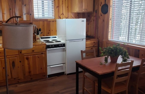 Greer Cabin | Knotty Bear Cabin in Greer