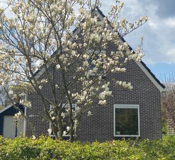 Valthe House | Knusse vakantiewoning Valthe