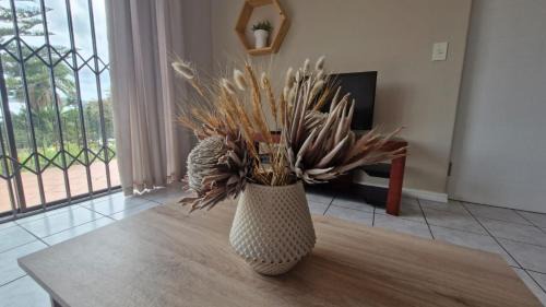 Knysna Apartment | Knysna Nessie