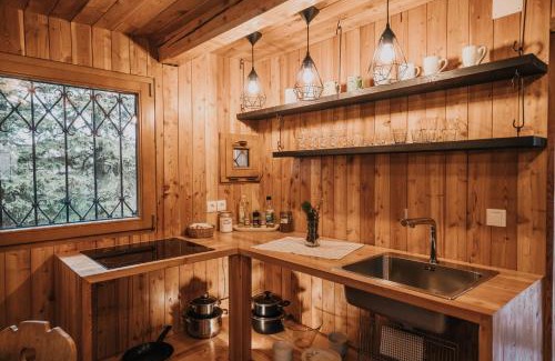 Kamnik Ski Chalet | Koča Bistra - Velika planina