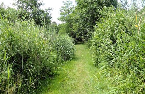 gmina Wolin Apartment | Ko czewo Lake & Forest Farm Stay