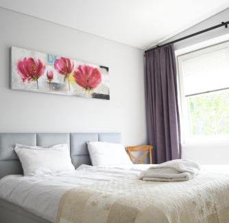 Druskininkai House | Koala rest house