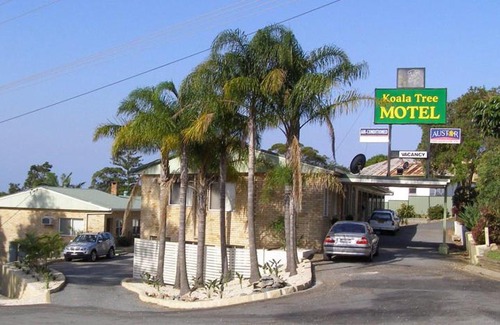 Port Macquarie Hotel | Koala Tree Motel
